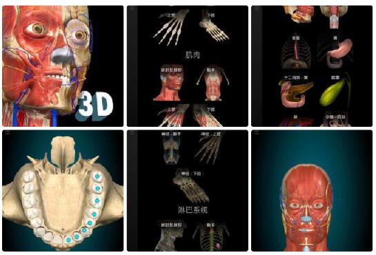 3D人体解剖app你可以观察和研究模型；他们在现实地移动